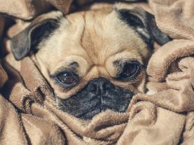 什么是“网络成瘾”?权威判定标准来了