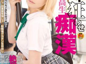 Stacey(ステイシー)作品DVDES-759介绍及封面预览