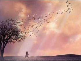 为什么一个人就不能把日子过得阳光灿烂一点呢?