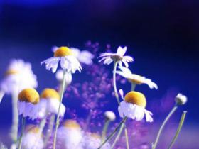 如何才能让自己时时刻刻都拥有强大的正能量