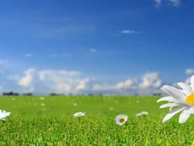 给生活注入一份美好的希望