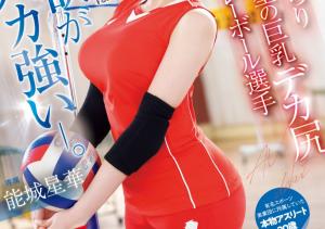 能城星華(能城星华,Nojo-Seika)出道作品EBWH-160介绍及封面预览-沐风文化