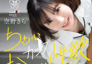 空野きら(空野绮罗)出道作品SDAB-277介绍及封面预览-沐风文化