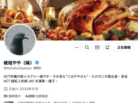 G乳大型新人现身!那只「鳩」的真面目是?