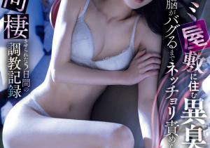 宮下玲奈(宫下玲奈,Miyashita-Reina)作品MIDV-094介绍及封面预览-沐风文化