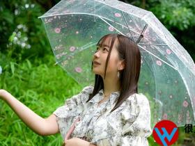 绫濑琴音(綾瀬ことね)出道作品番号及封面,绫濑琴音个人简介